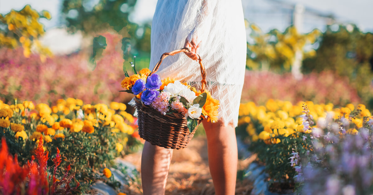 Cultivate good memories